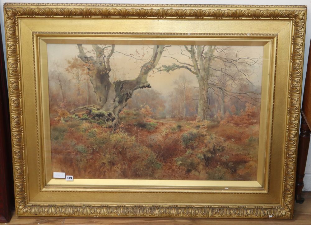 Benjamin John Ottewell (1847-1947), watercolour, Woodland scene
